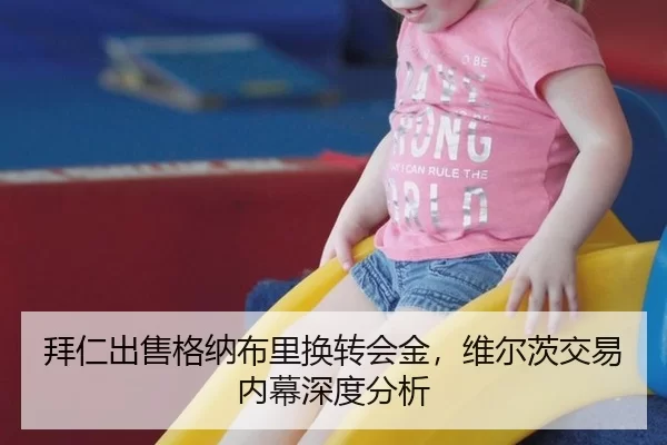 拜仁出售格纳布里换转会金，维尔茨交易内幕深度分析