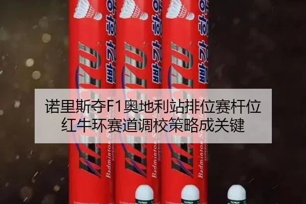 nuo-li-si-duo-ao-di-li-zhan-pai-wei-sai-gan-wei-hong-niu-huan-sai-dao-diao-xiao-ce-lve-cheng-guan-jian-2-534.jpg