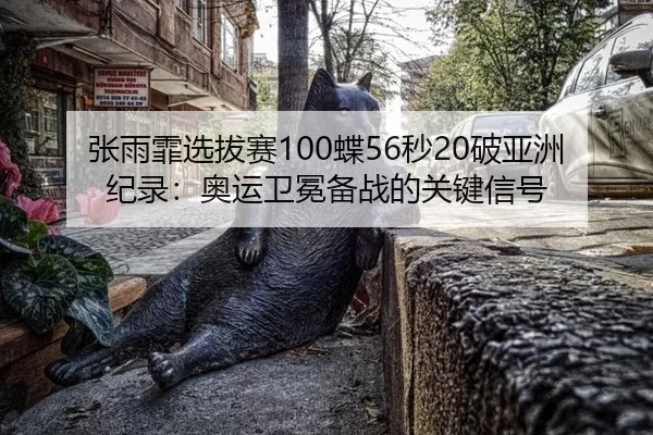 张雨霏选拔赛100蝶56秒20破亚洲纪录：奥运卫冕备战的关键信号